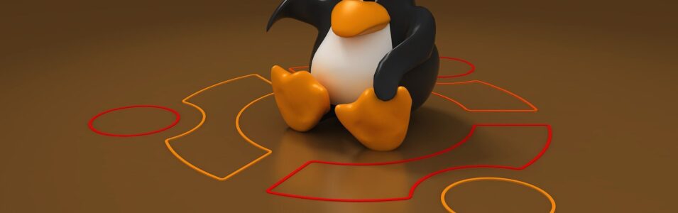 Why Ubuntu 24.04 LTS is the Perfect Choice for a WordPress Server